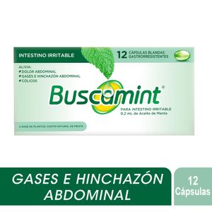 Buscamint Caja con 12 Unidades