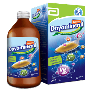 Dayamineral Jarabe Con 240 mL